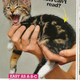 Image for article titled This Week In Tabloids: David Beckham's Call Girl Tells All